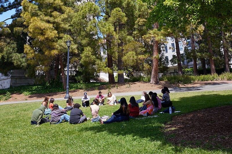 Students gathered on grass